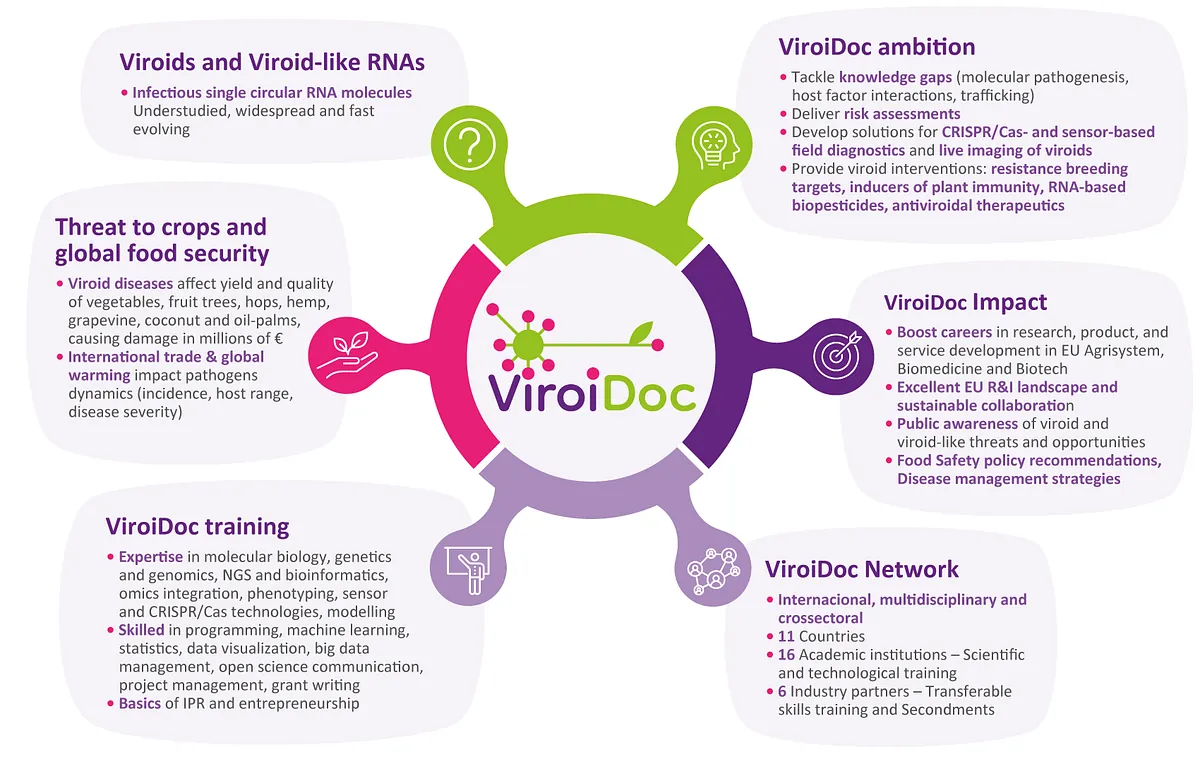 ViroiDoc at a glance